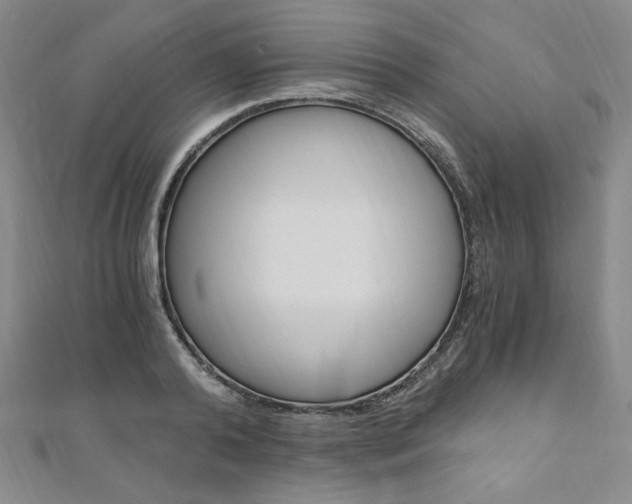 X0000110890792200906181005
