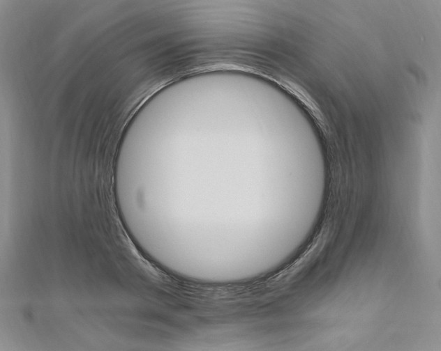 X0000110890793200906181005