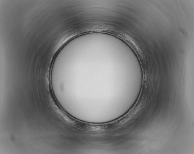 X0000110890794200906181005