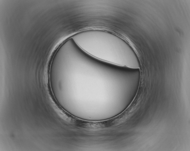 X0000110890795200906181005