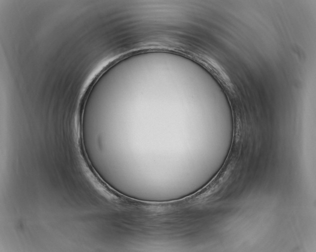 X0000110890796200906181005