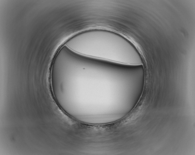 X0000110890799200906181005