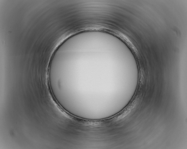 X0000110890802200906181005