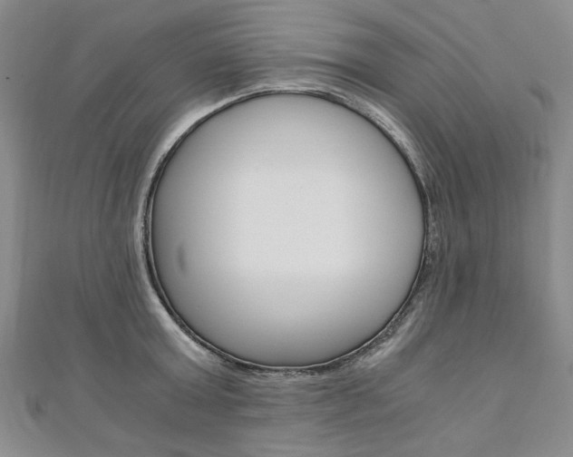 X0000110890803200906181005