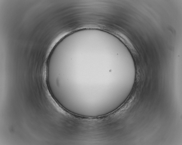 X0000110890804200906181005