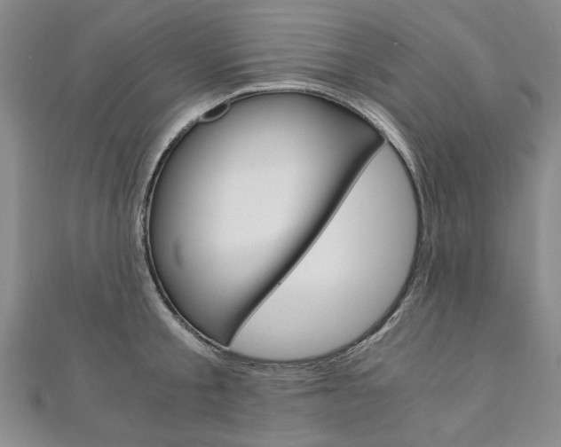 X0000110890805200906181005