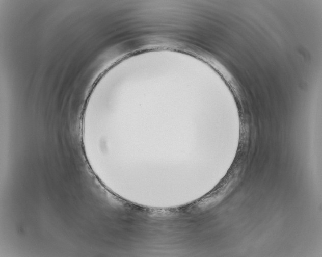 X0000110890807200906181005