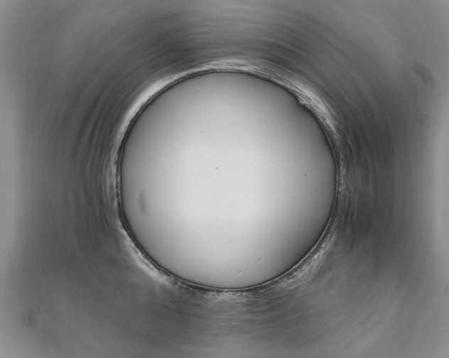 X0000110890808200906181005