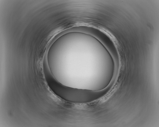 X0000110890809200906181004