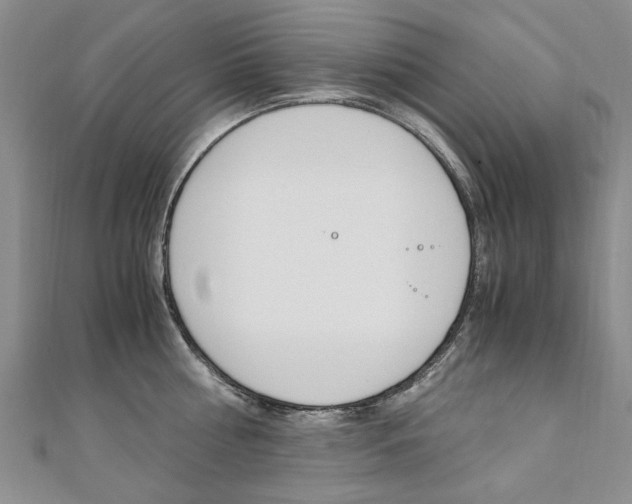 X0000110890810200906181004
