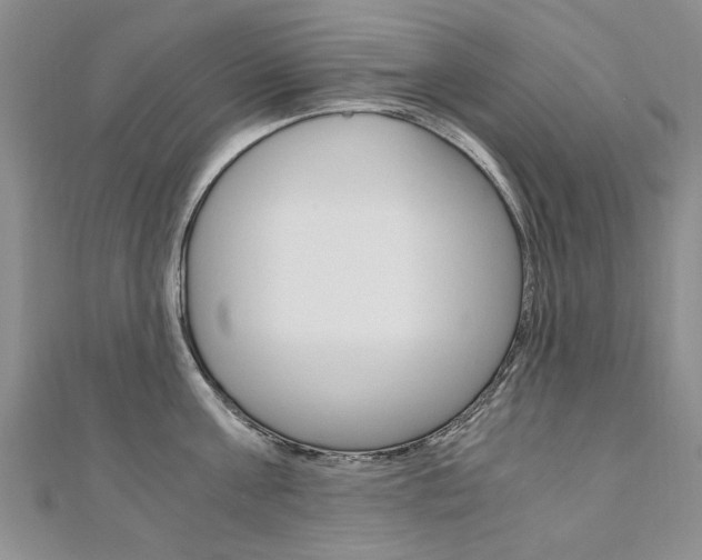 X0000110890811200906181004