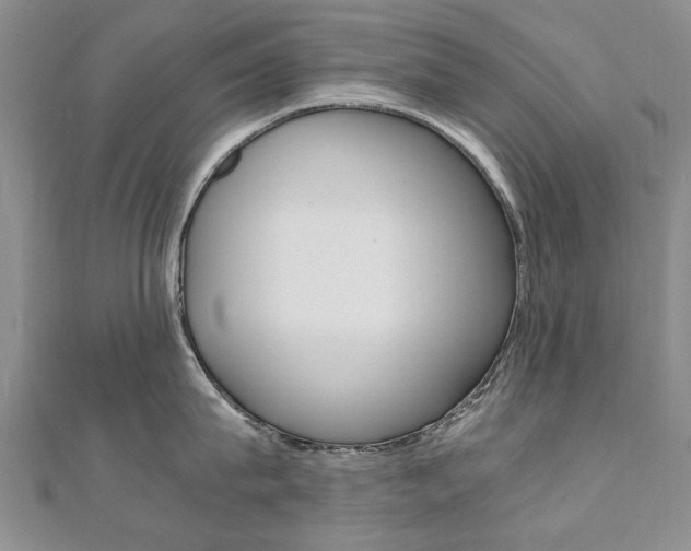 X0000110890815200906181004