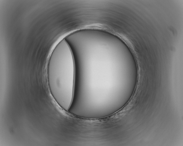 X0000110890816200906181004