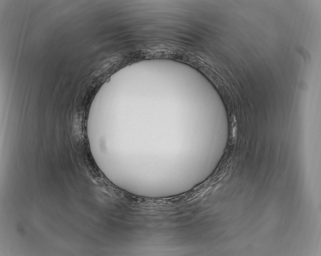 X0000110890819200906181004
