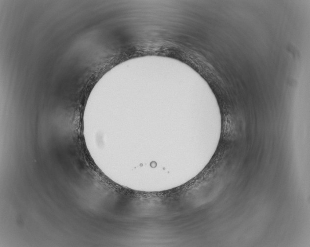 X0000110890820200906181004