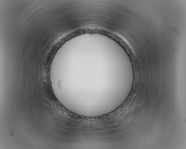 X0000110890823200906181004