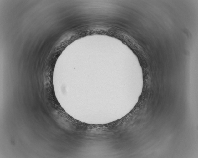X0000110890824200906181004