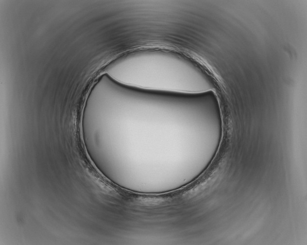X0000110890825200906181004