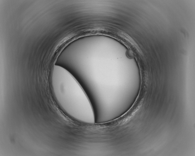 X0000110890826200906181004