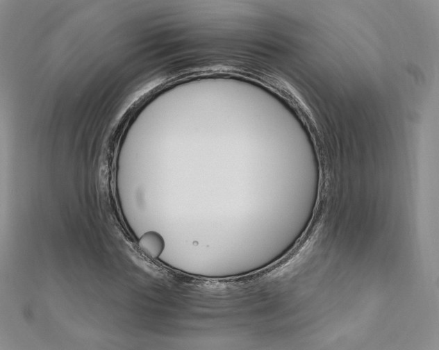 X0000110890827200906181004