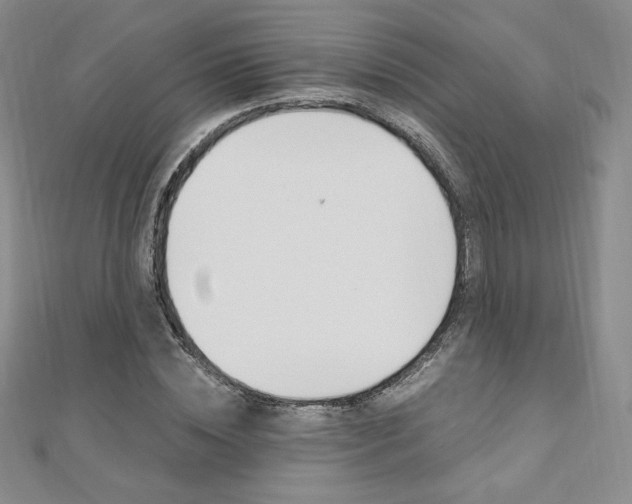 X0000110890828200906181004