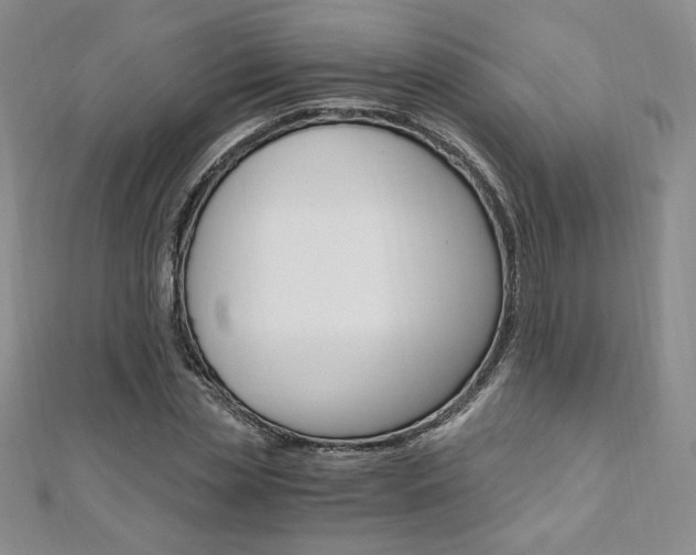 X0000110890829200906181004