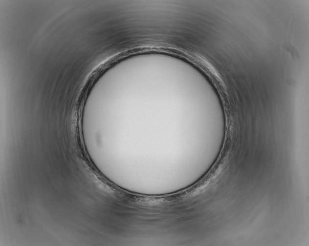 X0000110890831200906181004