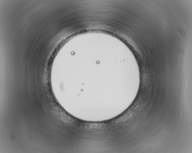 X0000110890832200906181004