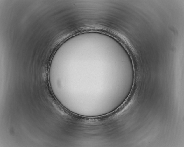 X0000110890833200906181004