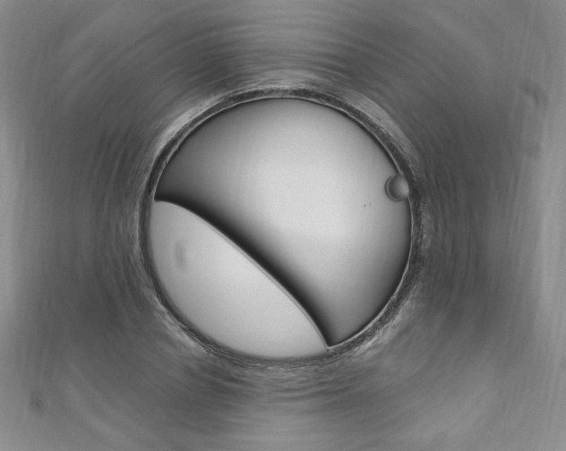X0000110890834200906181004