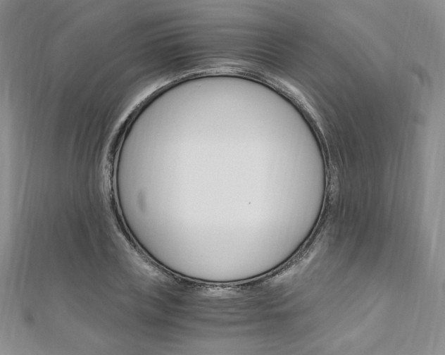 X0000110890835200906181004