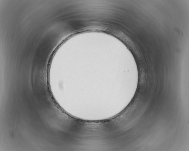 X0000110890836200906181004