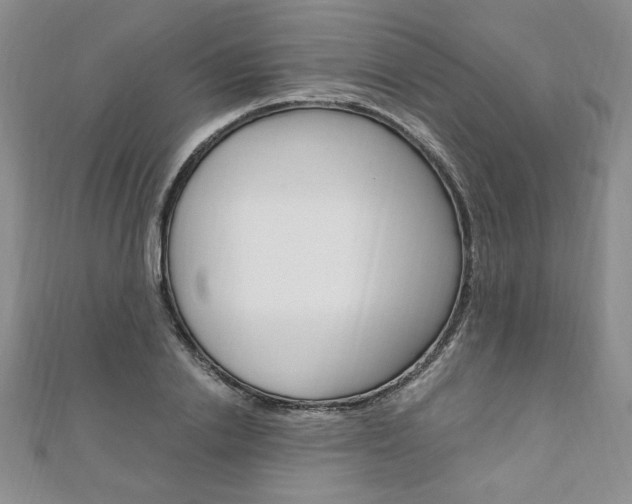 X0000110890838200906181004