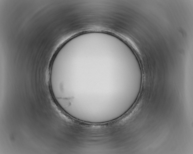 X0000110890839200906181004