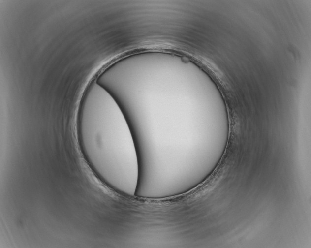 X0000110890840200906181004