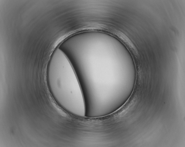 X0000110890842200906181004
