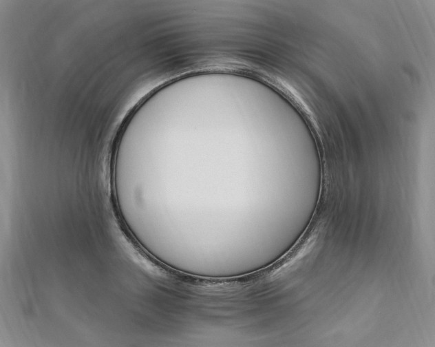X0000110890843200906181004