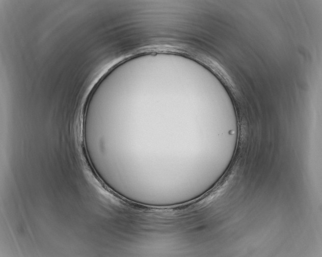 X0000110890844200906181004