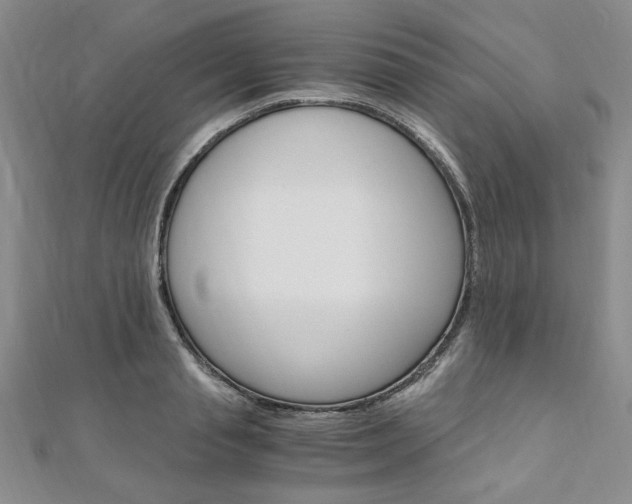 X0000110890845200906181004