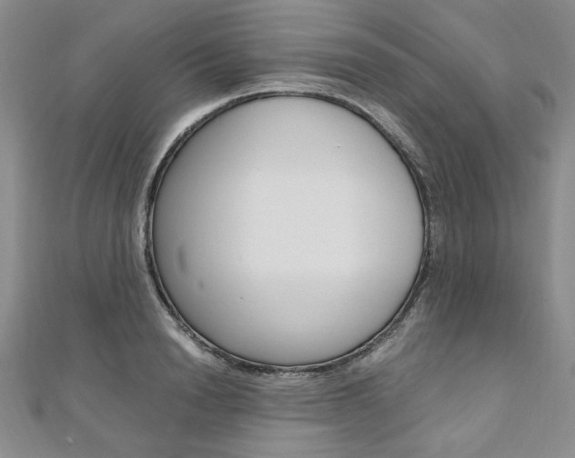 X0000110890846200906181004