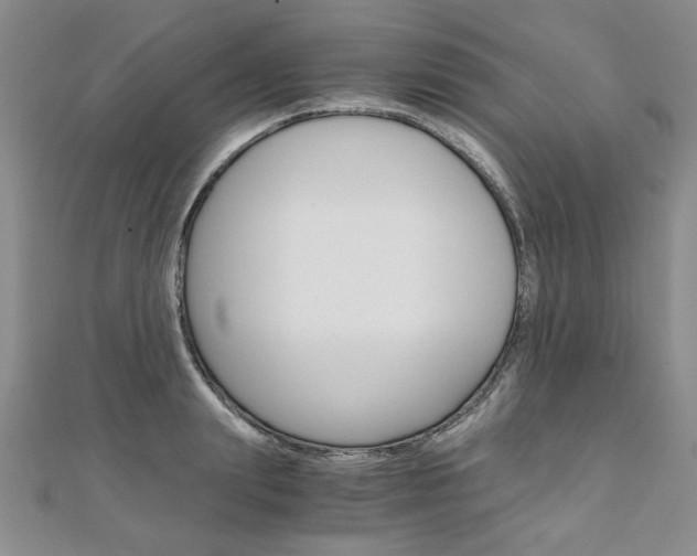 X0000110890847200906181004