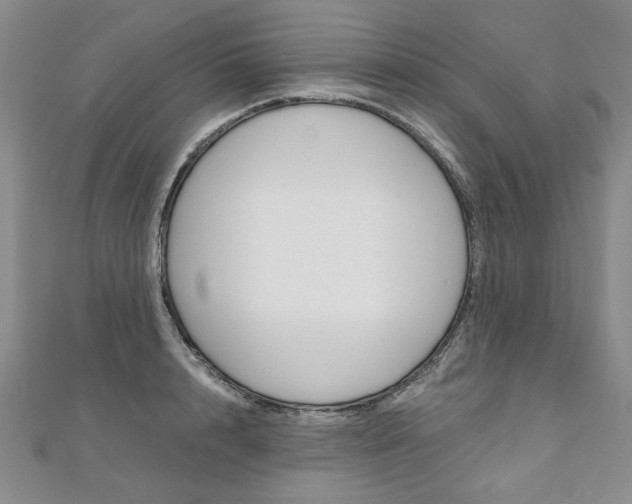 X0000110890848200906181004