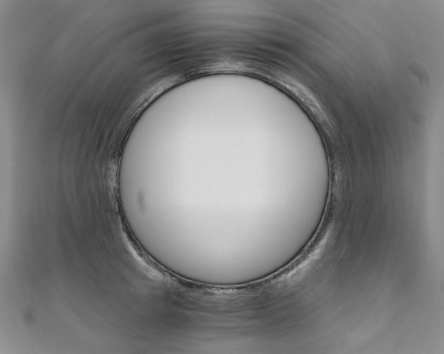 X0000110890849200906181004