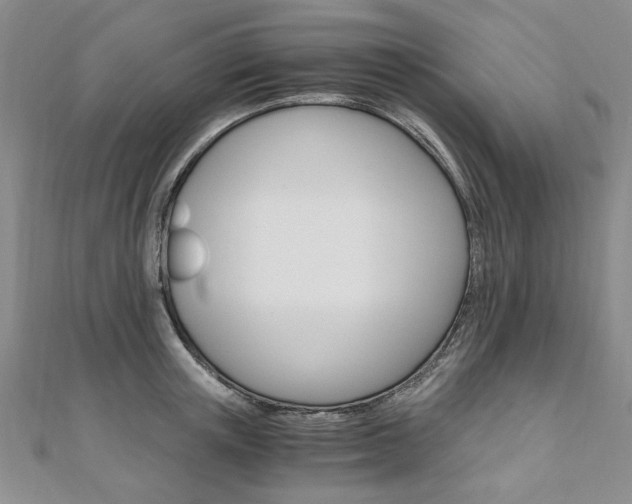 X0000110890851200906181004