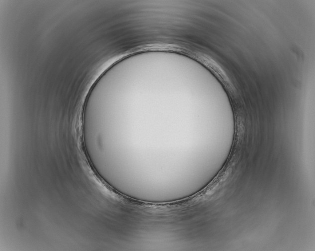 X0000110890852200906181004