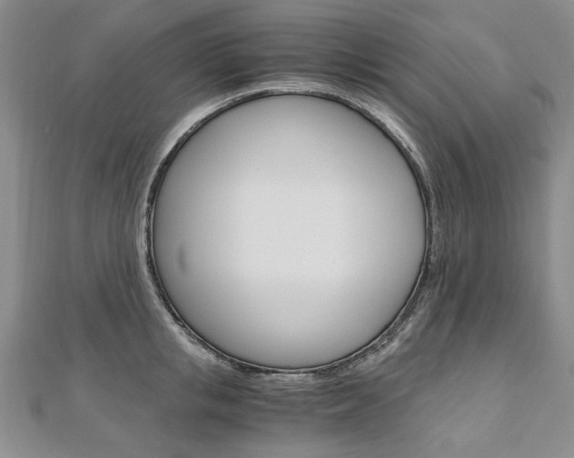 X0000110890853200906181004