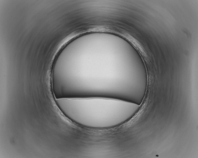 X0000110890854200906181004