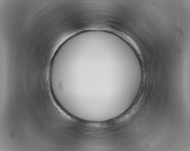 X0000110890855200906181004