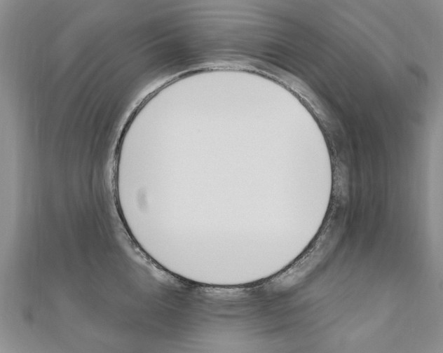 X0000110890856200906181004