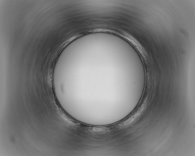 X0000110890857200906181004